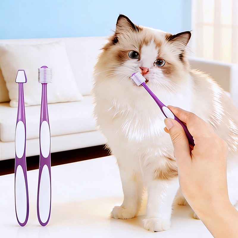 Hundezahnbürste 360-Grad-Haust – Teeth Whitening Brush Bewertung und Preis