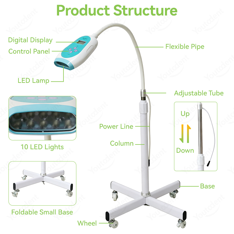 50W Dental Touchscreen 3-Farbe – Teeth Whitening Lamp Bewertung und Preis