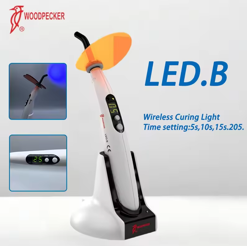 Dental Aushärtung Licht Specht – Teeth Whitening Lamp Bewertung und Preis