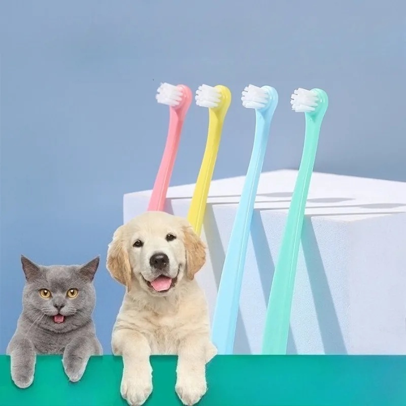 Hundezahnbürste mit Kleinem Bü – Teeth Whitening Brush Bewertung und Preis