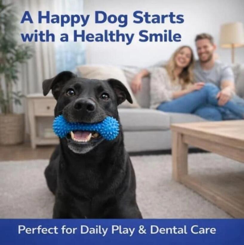 Doppelfunktions-Haustier-Zahnp – Teeth Whitening Brush Bewertung und Preis