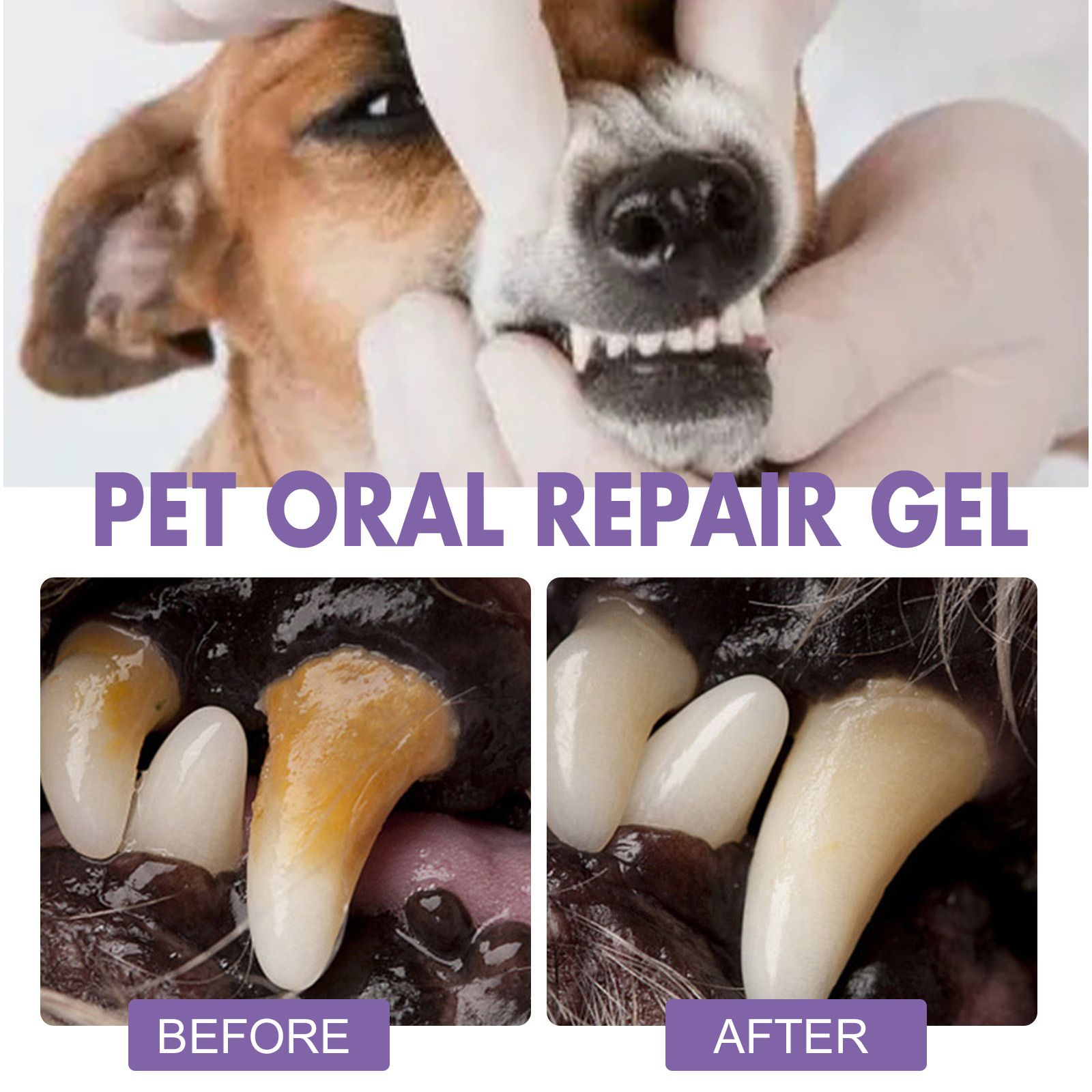 Pet Oral Repair Gel Welpen Zah – Teeth Whitening Vape Bewertung und Preis
