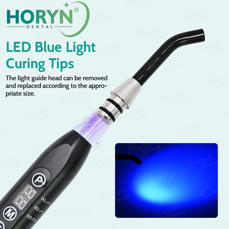 Dental LED Härtung Lichtleiter – Teeth Whitening Lamp Bewertung und Preis