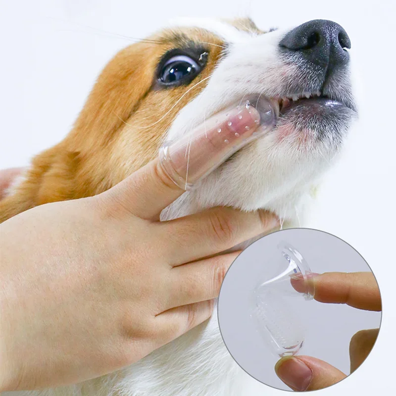 Superweiche Haustier-Finger-Za – Teeth Whitening Brush Bewertung und Preis